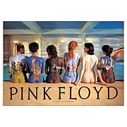 Pink Floyd Back Catalog Fabric Poster Wall Hanging